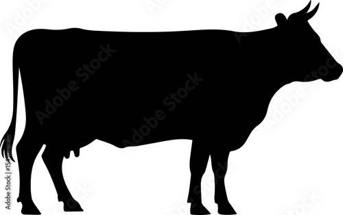 Cow graphic icon. Cow black silhouette isolated on white background. Vector illustration silhouette