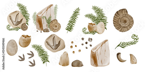 Set of prehistoric fossils. Stones and ancient dinosaur tracks. Fern and predator teeth and fangs. Ancient museum artifacts. Watercolor illustration without background. Hand drawing.