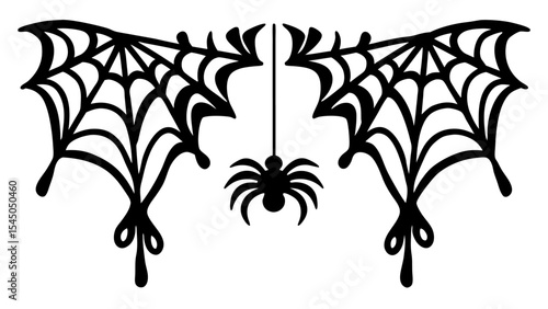 Scary spider and poisonous spider top frame