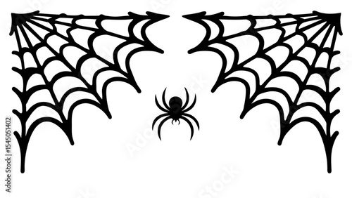 Scary spider and poisonous spider top frame