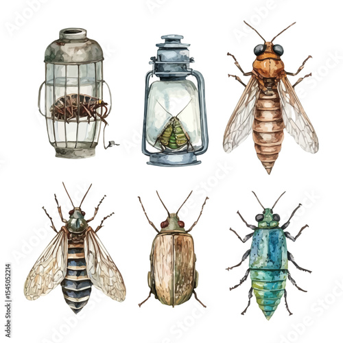 watercolor vector of Insect Traps, isolated on a white background.