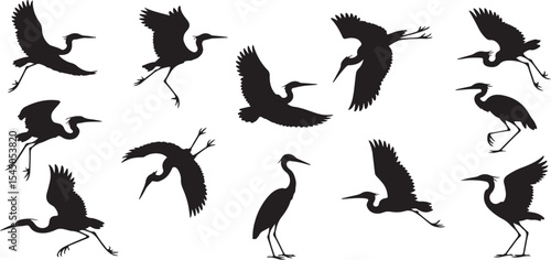 Collection of heron silhouettes in various poses