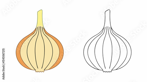 Garlic and Onion Outline and Colored Vector