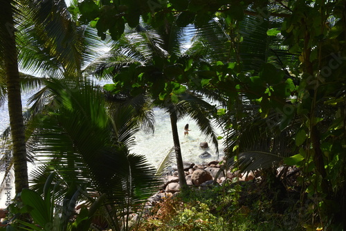 Obraz na plátně une baigneuse dans un paradis tropical Mahé Seychelles