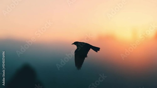 Silhouette of a bird in flight at sunset