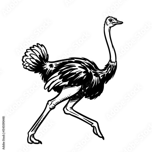 Black and white illustration of an ostrich running quickly on transparent background  