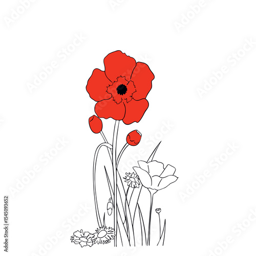 poppy flower