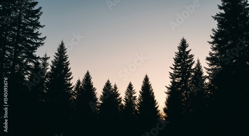 Silhouetted evergreens frame a serene sunset, creating a tranquil forest scene