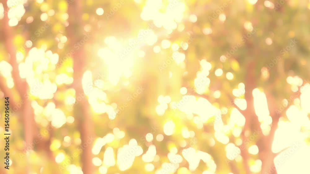 Golden sunlight shining through trees with warm bokeh in the background blur. Peaceful, relaxing, and nature inspired mood