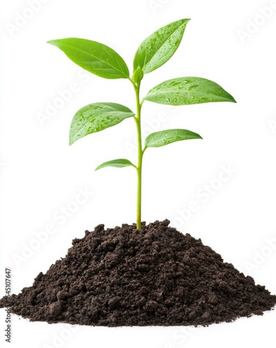 Wallpaper Mural WHITE BACKGROUND Torontodigital.ca