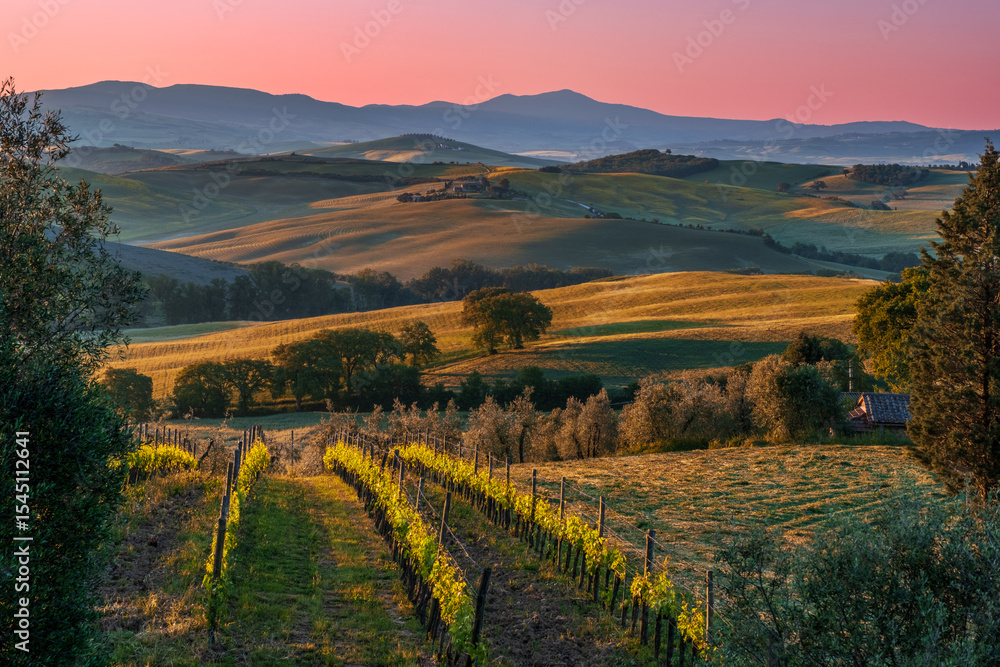 Obraz premium Alba nelle colline della val d'Orcia