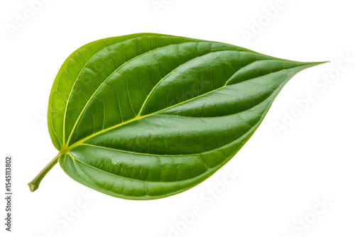 Green Piper betle leaf isolated