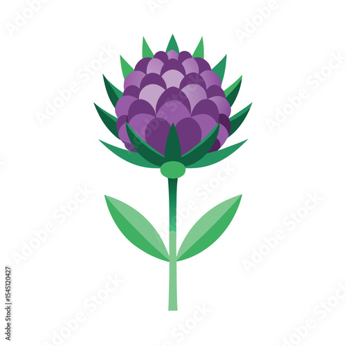 Allium iganteum flower vector art