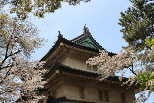 Japanese imperial palace - gardens (Tokyo)