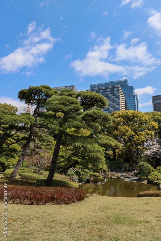 Obraz premium Tress in Ninomaru garden - Tokyo, Japan