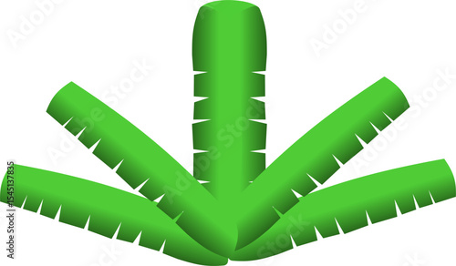 Banana Leaf