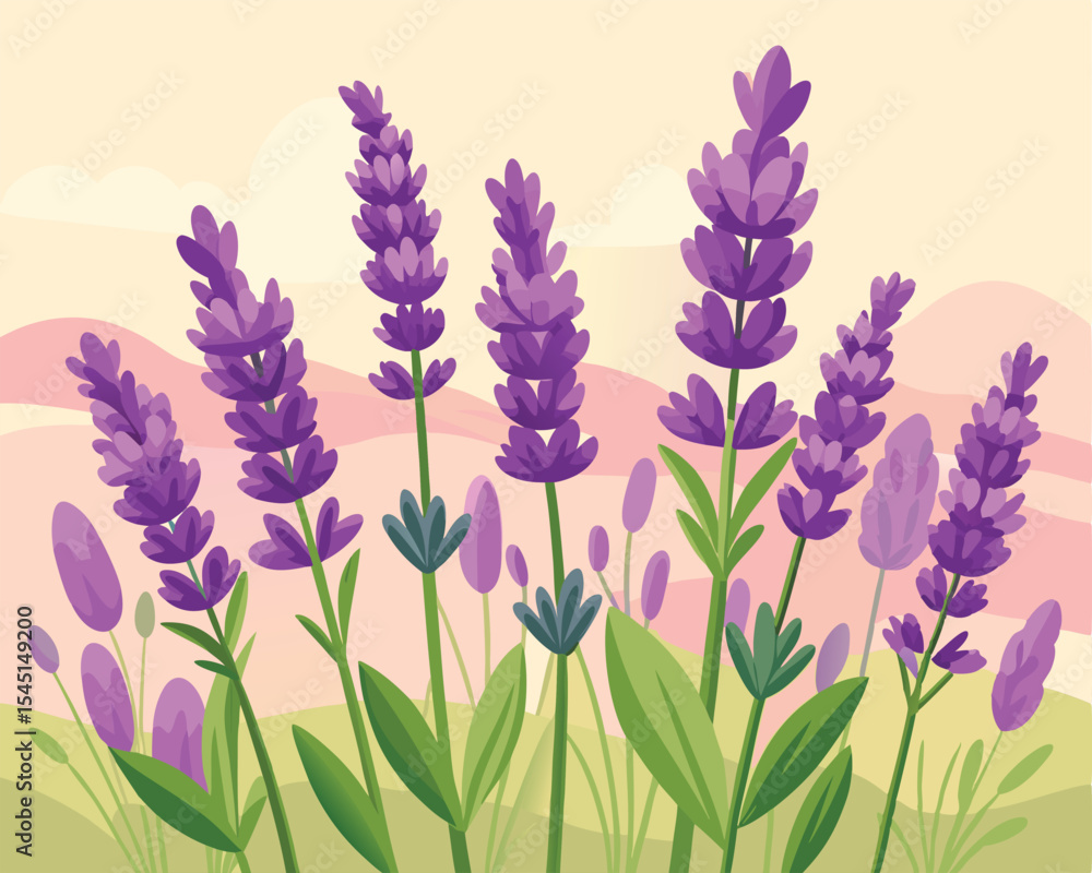 Naklejka premium Blooming lavender flowers with soft petals vector art design 