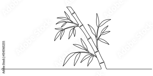 Continuous line drawing of bamboo trees, continuous one line art of a bamboo tree. vector illustration with transparent background, Fresh evergreen perennial flowering plant concept for plant icon. 