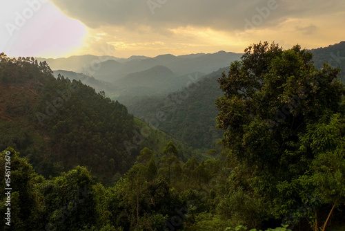 Panoramic view of bwindi national park - Uganda