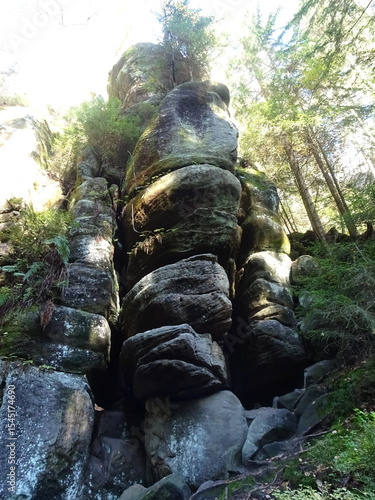 rocks in the forest