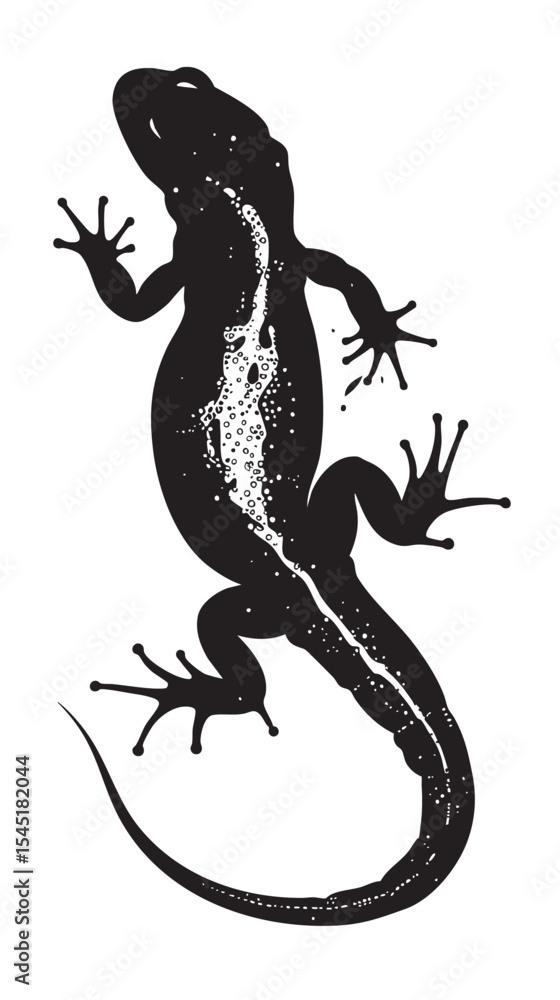 Fototapeta premium Salamanders silhouette isolated in White background