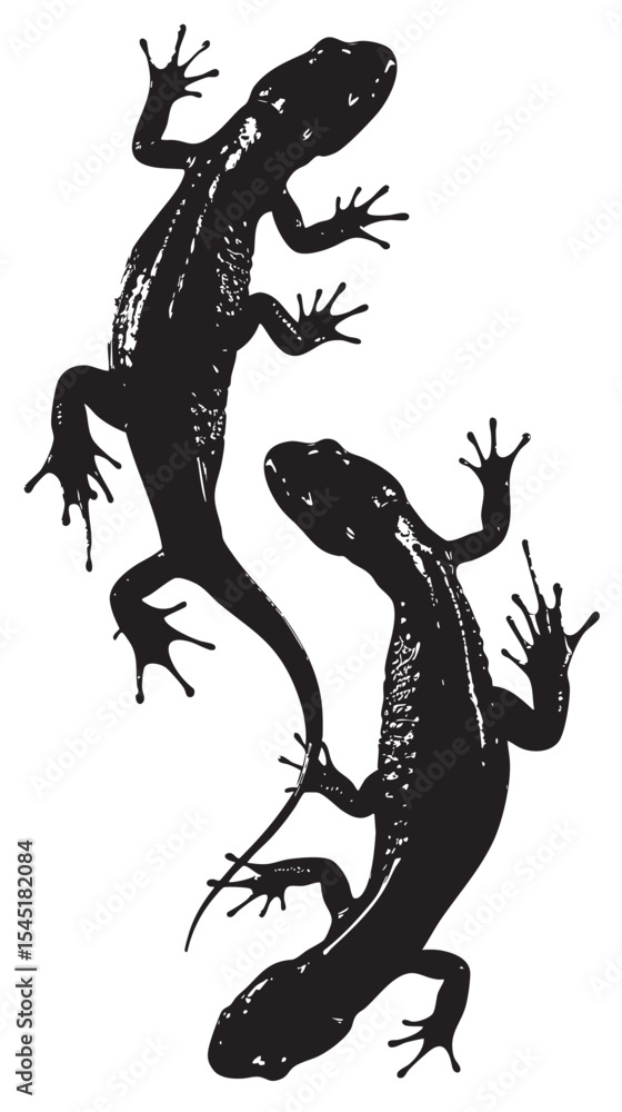 Fototapeta premium Salamanders silhouette isolated in White background