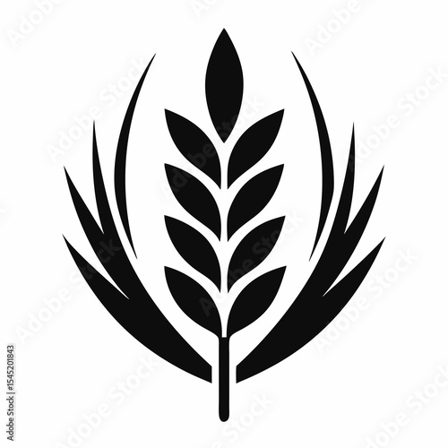 Wheat stalk with curved leaves isolated on white background