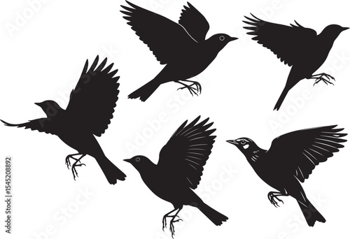 Eurasian skylark bird in flight vector illustration