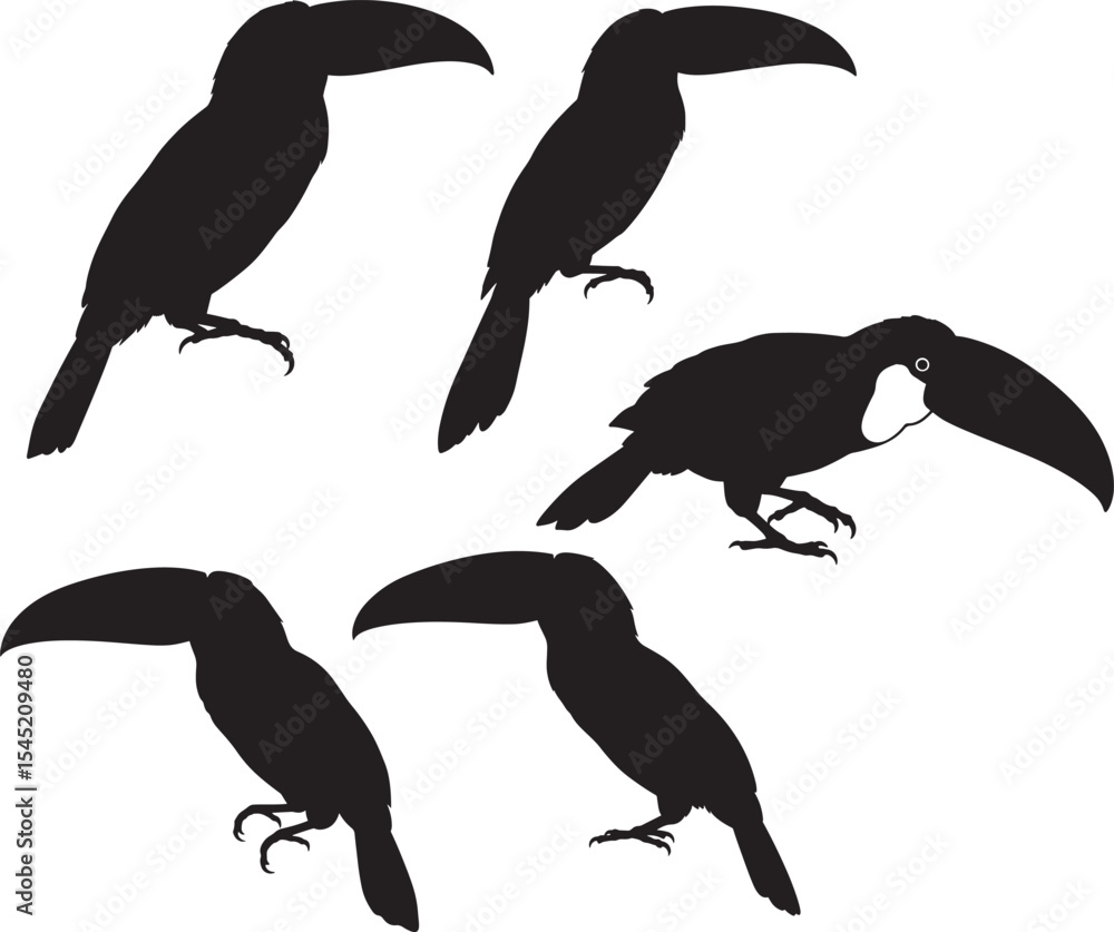 Fototapeta premium Keel-billed toucan tropical bird vector illustration