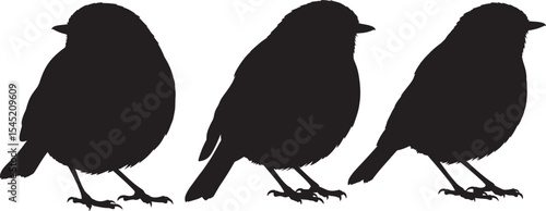 Robin bird perched on branch vector illustration