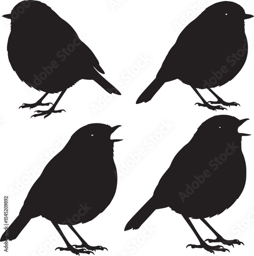 Robin singing bird silhouette vector illustration
