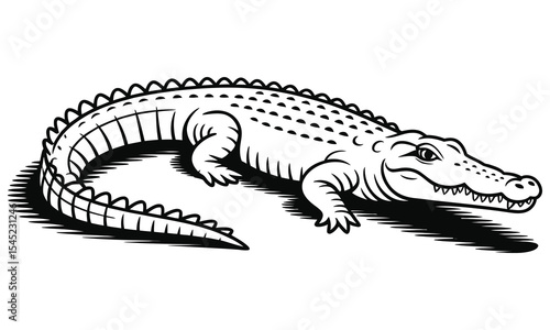 crocodile on black