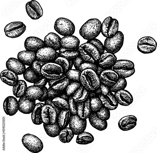 A handful of coffee beans ink sketch.