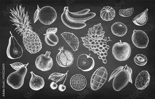 Fruits big set chalk sketch.