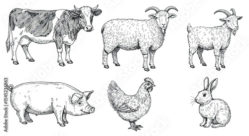 Farm animals hand drawn collection for educational and design projects