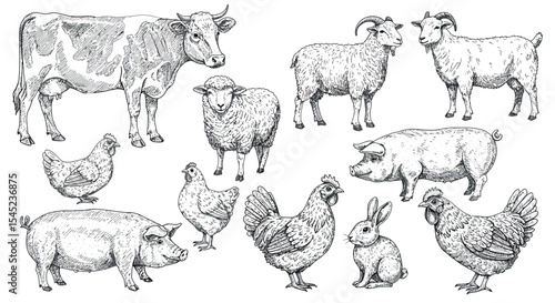 Vintage farm animal illustrations for rustic decor and design projects