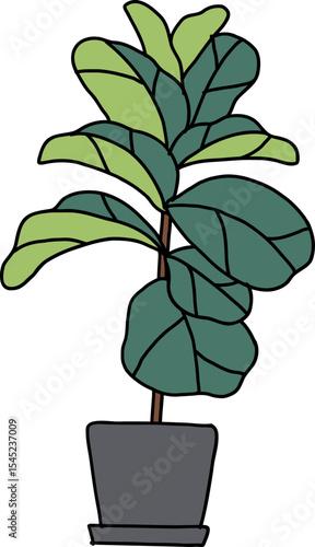 Fiddle Leaf Fig in Pot: A vibrant illustration of a potted fiddle leaf fig plant with large, striking green leaves in a classic pot.