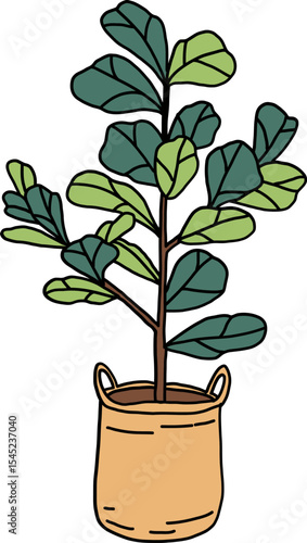 Fiddle-leaf fig: A vibrant and artful representation of a fiddle-leaf fig plant in a decorative pot, perfect for illustrating a fresh, modern, and natural aesthetic.