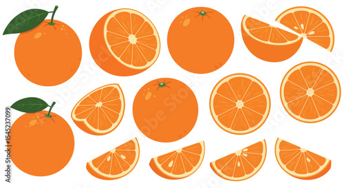 Fresh oranges and slices illustration for citrus-themed designs and decor