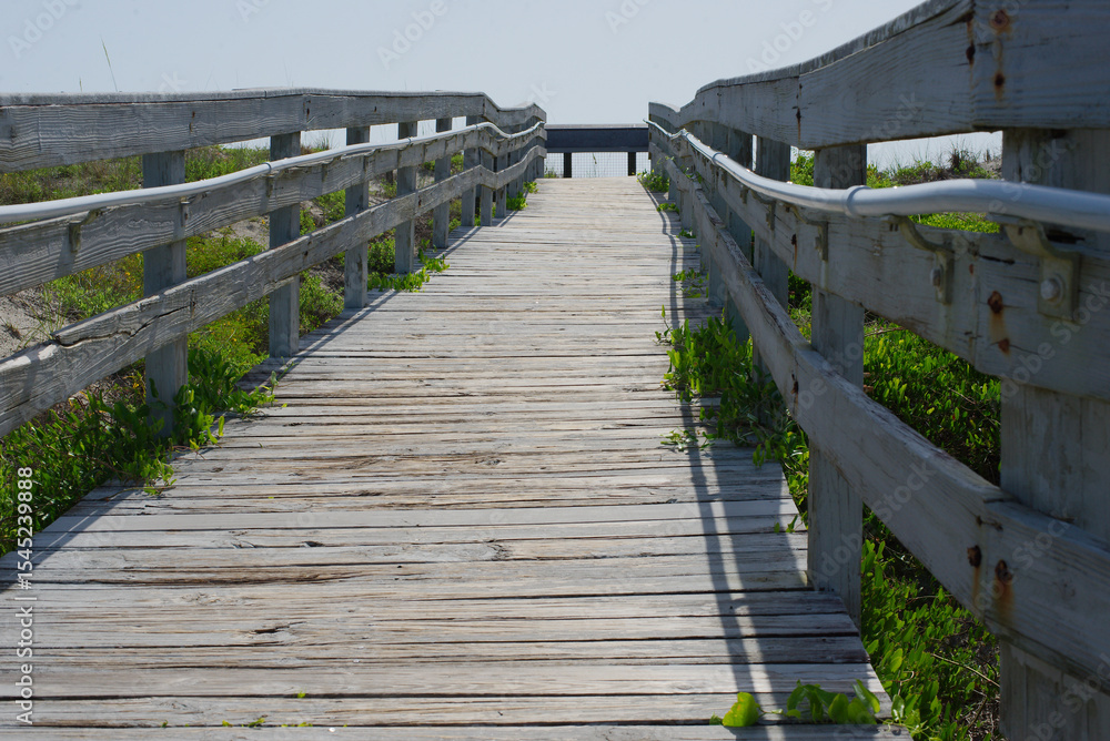 Obraz premium Florida Wooden Boardwalk Path Through a Scenic Nature Landscape Under a Blue Sky. Wooden boardwalk stretches through a natural setting under a bright blue sky with clouds, surrounded by vibrant greene