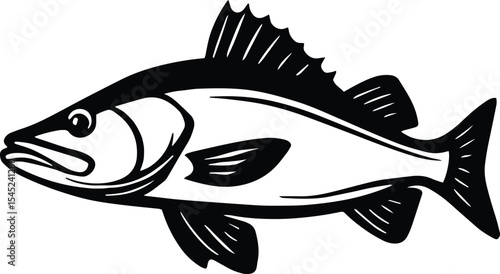 Snook fish design - Fish isolated on transparent background