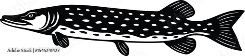 Northern Pike fish design isolated on transparent background