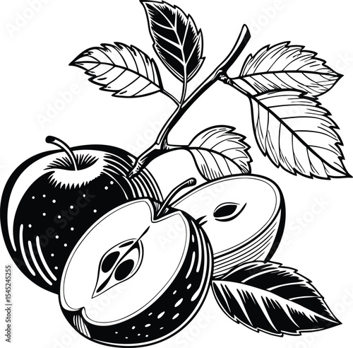 Vector illustration of fresh, ripe apple fruit with leaves, clipart, applefruit, foliage, edible, farm, vitamin, stem, bright, appetizing