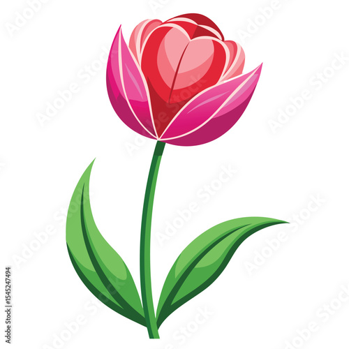 Tulip flower vector art illustration