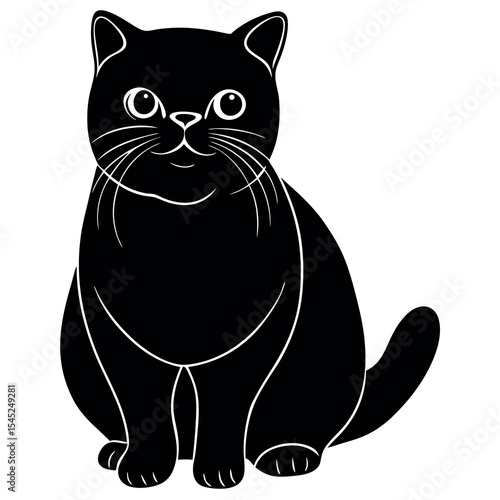 Calm exotic shorthair cat illustration