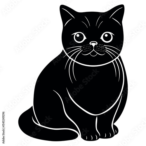 Calm exotic shorthair cat illustration