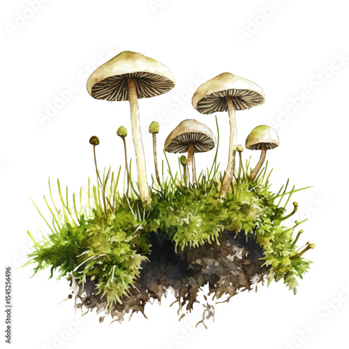 Forest Ground Moss Fungi, watercolor illustration vector, isolated on a white background.