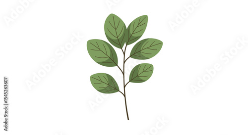 A Comprehensive Guide to Understanding the Different Types of Plant Branch Structures