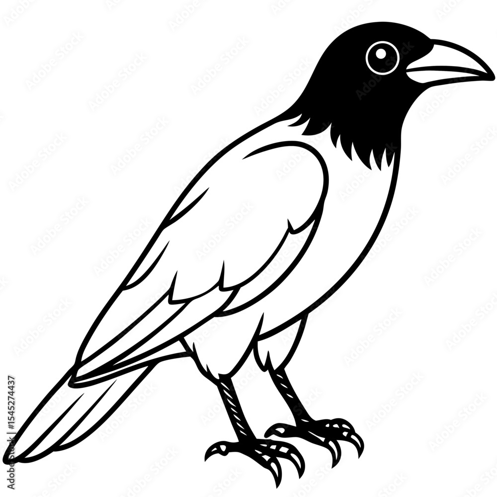 Crow line art vector Crow line art vector