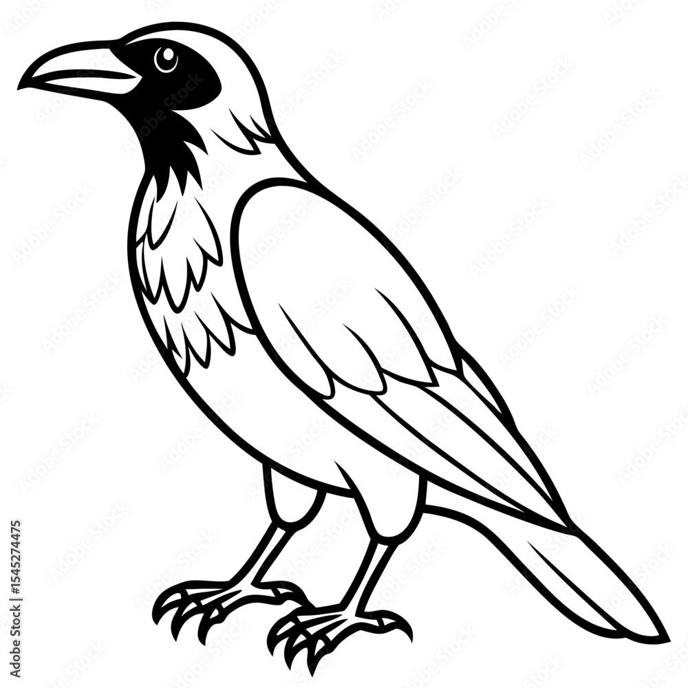 Fototapeta premium Crow line art vector